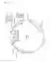 Fig. 02 - ADHESIVE MOLECULES