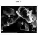 Fig. 07 - Resin composition, article prepared by using the same, and method of preparing the same