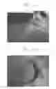 Fig. 07 - Hybrid organic/inorganic quantum dot composite and method for preparing the same