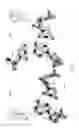 Fig. 09 - Catalytic strands of minimal hammerhead ribozymes and methods of using the same