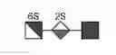 Fig. 06 - Detection of oligosaccharides