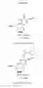 Fig. 08 - DETECTION OF INFLUENZA B VIRUSES
