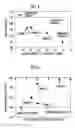 Fig. 06 - Manufacturing method of wear-resistant iron-based sintered alloy and wear-resistant iron-based sintered alloy