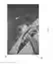 Fig. 12 - Structure and method of making the same