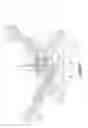 Fig. 02 - Rotary internal combustion engine with pilot subchamber