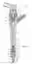 Fig. 02 - Fuel electro-injector atomizer, in particular for a diesel cycle engine