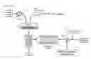 Fig. 01 - Apparatus and Method For Validating Water Level in Condensate Measurement