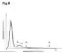 Fig. 09 - DEVICE FOR GENERATING FLUORESCENCE IMAGE AND METHOD FOR GENERATING FLUORESCENCE IMAGE