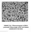 Fig. 02 - Method of making fibers with chemical markers and physical features used for coding