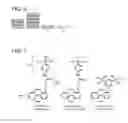 Fig. 06 - Molecular detection apparatus, molecular detection method, and molecular detector
