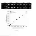 Fig. 08 - Method of Detection of Volatile Organic Compounds Using Liquid Crystals that Form a Blue Phase; and Device for Stabilization and Thickness Control of Liquid Crystal Films
