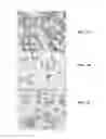 Fig. 04 - Density-based separation of biological analytes using mutliphase systems