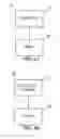 Fig. 02 - METHOD FOR DETECTION OF L523S EXPRESSION IN BIOLOGICAL SAMPLES