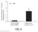 Fig. 06 - CANCER MARKER AND THE USE THEREOF