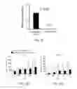 Fig. 09 - CANCER MARKER AND THE USE THEREOF