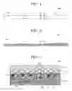 Fig. 02 - TESTING DEVICE AND METHOD FOR PRODUCING SAME, AND TESTING KIT AND TRANSFER MEDIUM FOR PRODUCING TESTING DEVICE
