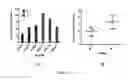 Fig. 09 - Method for diagnosing diseases through oligomer analysis of abnormally aggregated proteins