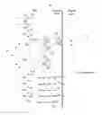 Fig. 01 - Processing method and electronic apparatus for digital signal