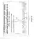 Fig. 08 - Optical detection system