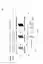 Fig. 04 - Interference handling in time-of-flight depth sensing