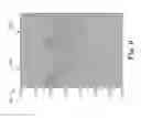 Fig. 07 - Interference attenuation of a residual portion of seismic data