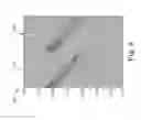 Fig. 09 - Interference attenuation of a residual portion of seismic data