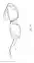 Fig. 25 - Imaging optical lens assembly, imaging apparatus and electronic device