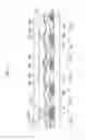 Fig. 06 - Liquid crystal display panel and manufacturing method thereof