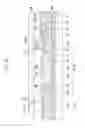 Fig. 32 - Liquid crystal display panel and manufacturing method thereof