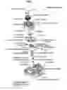 Fig. 02 - Multidirectional operating device