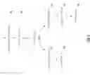 Fig. 07 - Computed call/jump target resolution via behavior computation