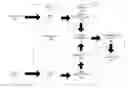 Fig. 01 - Concept based querying of graph databases