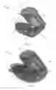 Fig. 06 - System and method of capturing and producing biometric-matching quality fingerprints and other types of dactylographic images with a mobile device