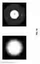 Fig. 18 - Hierarchical Z-culling (HiZ) optimization for texture-dependent discard operations