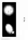 Fig. 20 - Hierarchical Z-culling (HiZ) optimization for texture-dependent discard operations