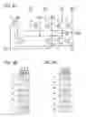 Fig. 09 - Liquid crystal display device