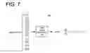 Fig. 07 - Dimensionality reduction of baum-welch statistics for speaker recognition
