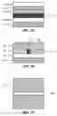Fig. 08 - Method for mitigating layout effect in FINFET