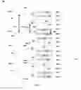 Fig. 06 - Self-aligned quadruple patterning process for Fin pitch below 20nm