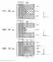 Fig. 09 - Semiconductor memory device and method for manufacturing same