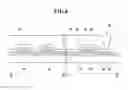 Fig. 05 - Thin film transistor array substrate and manufacturing method thereof