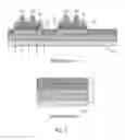 Fig. 04 - Package method of OLED substrate and OLED package structure