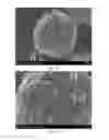 Fig. 02 - BORON-DOPED ACTIVATED CARBON MATERIAL