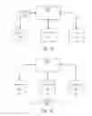 Fig. 07 - SYNTHETIC CLIENT