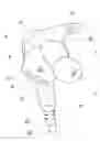 Fig. 01 - Earphone device with optical sensor