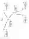 Fig. 02 - Wireless communication device