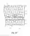 Fig. 09 - Enclosing vegetative sheath