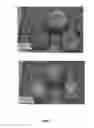 Fig. 02 - Pepper plants producing fruits with improved properties
