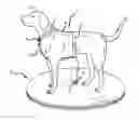 Fig. 01 - PET TETHERING DEVICE