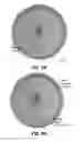 Fig. 07 - Systems and methods for automated control of animal training and discrimination learning